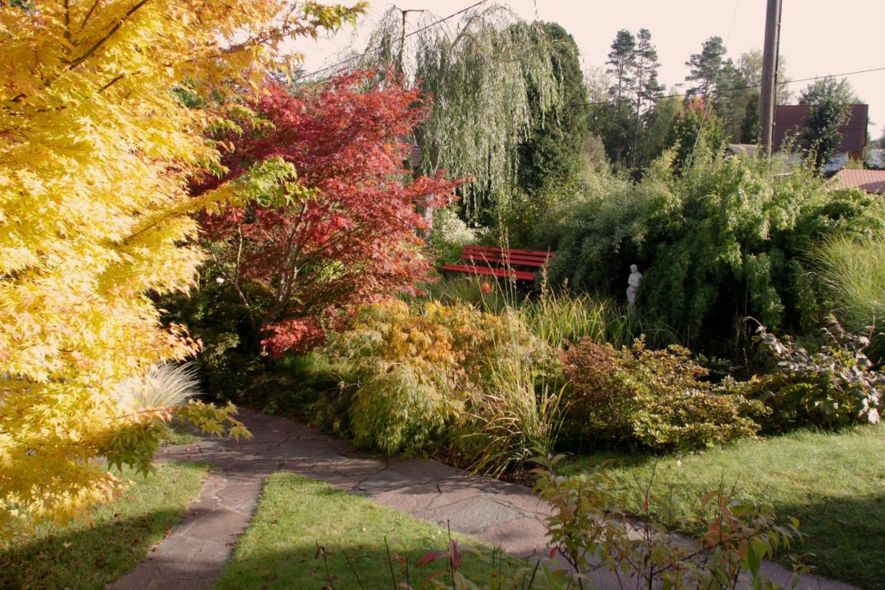 Ferienhaus Und Ferienwohnung "Am Waldsaum" Kurort Gohrisch Exterior photo